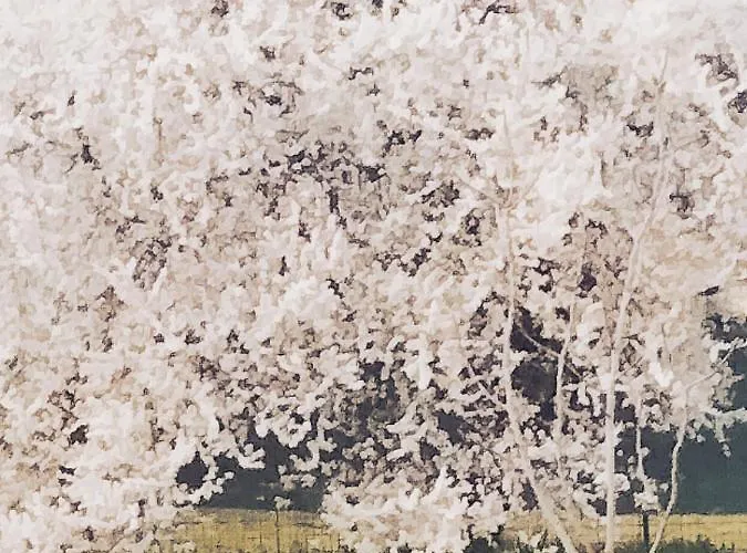 Conti Zambonelli * San Giovanni in Persiceto