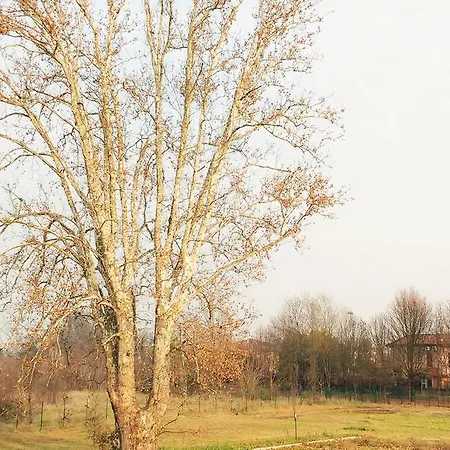 Conti Zambonelli サン・ジョヴァンニ・イン・ペルシチェート