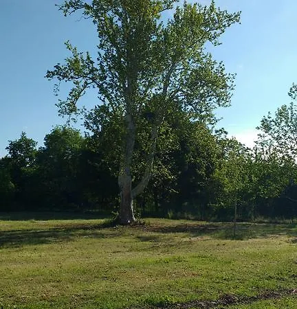 Conti Zambonelli * サン・ジョヴァンニ・イン・ペルシチェート