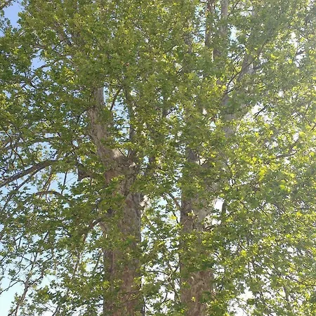 Conti Zambonelli San Giovanni in Persiceto