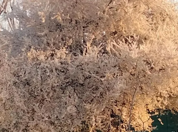 Conti Zambonelli San Giovanni in Persiceto