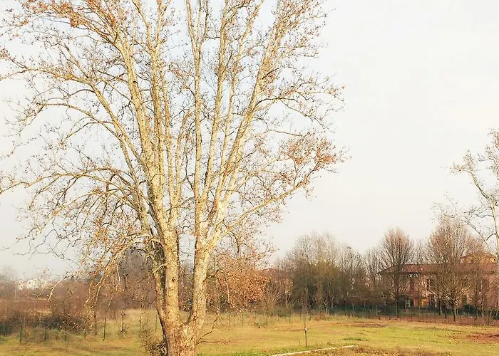Conti Zambonelli San Giovanni in Persiceto