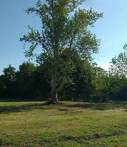 Conti Zambonelli * San Giovanni in Persiceto