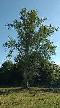 Casa vacanze Conti Zambonelli San Giovanni in Persiceto