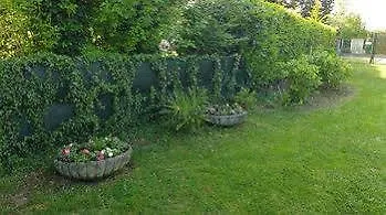 Casa vacanze Conti Zambonelli