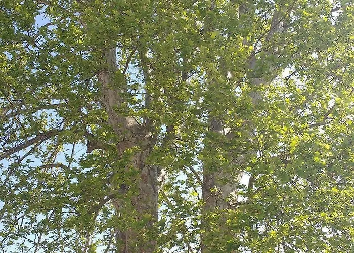 Conti Zambonelli San Giovanni in Persiceto